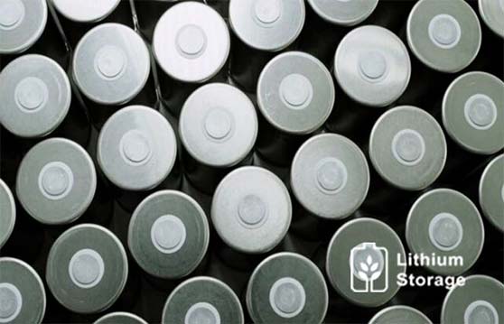 リン酸鉄リチウム対リチウムイオン: In-Depth Comparison